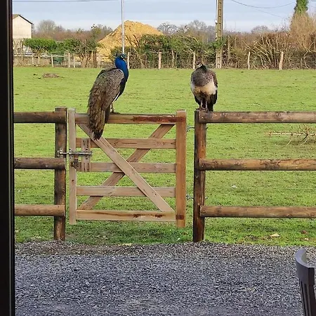 Le Adore Сasa de vacaciones *
