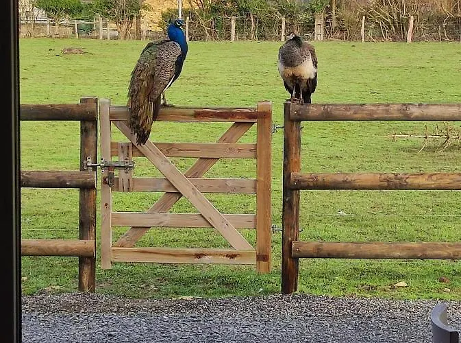 Le Adore Ferienhaus *